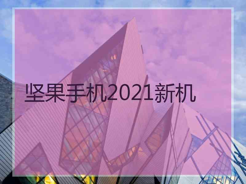 坚果手机2021新机