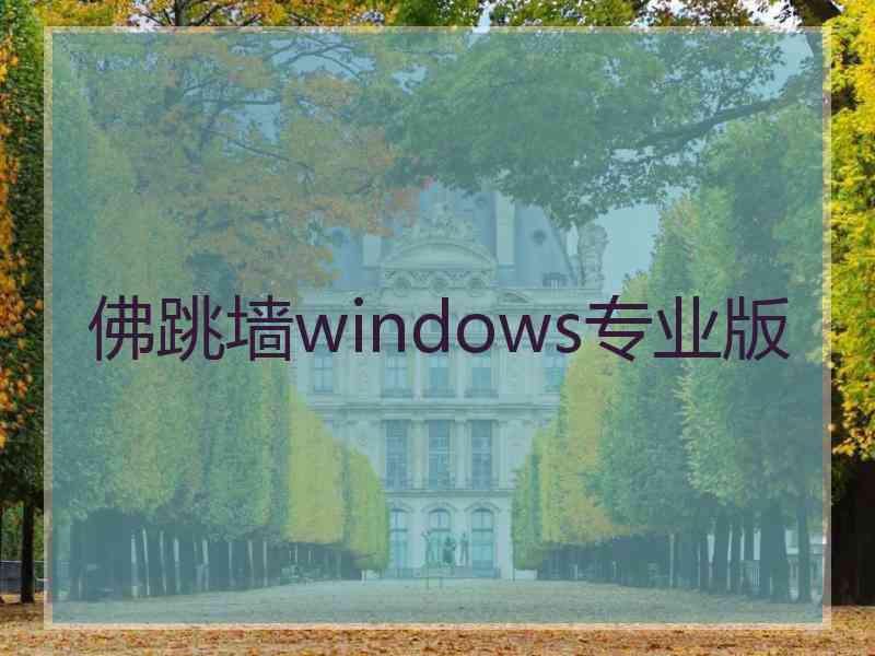 佛跳墙windows专业版