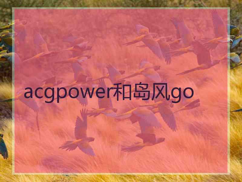 acgpower和岛风go