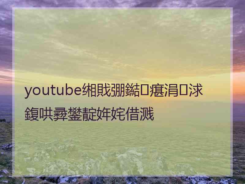 youtube缃戝弸鐑瘎涓浗鍑哄彛鐢靛姩姹借溅