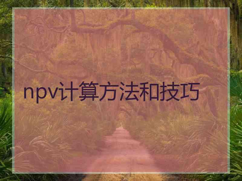 npv计算方法和技巧