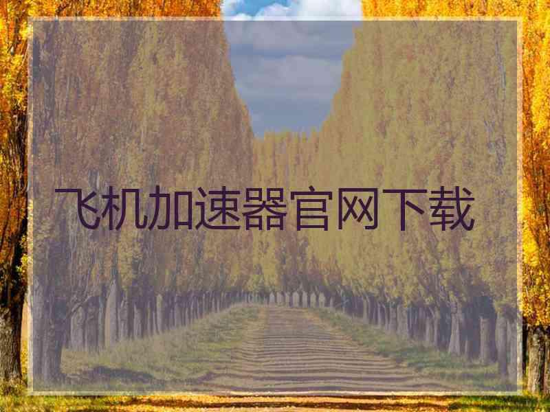 飞机加速器官网下载