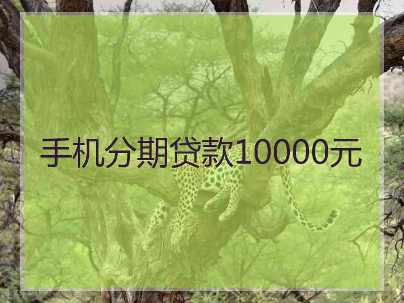 手机分期贷款10000元