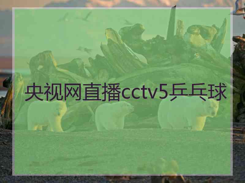 央视网直播cctv5乒乓球