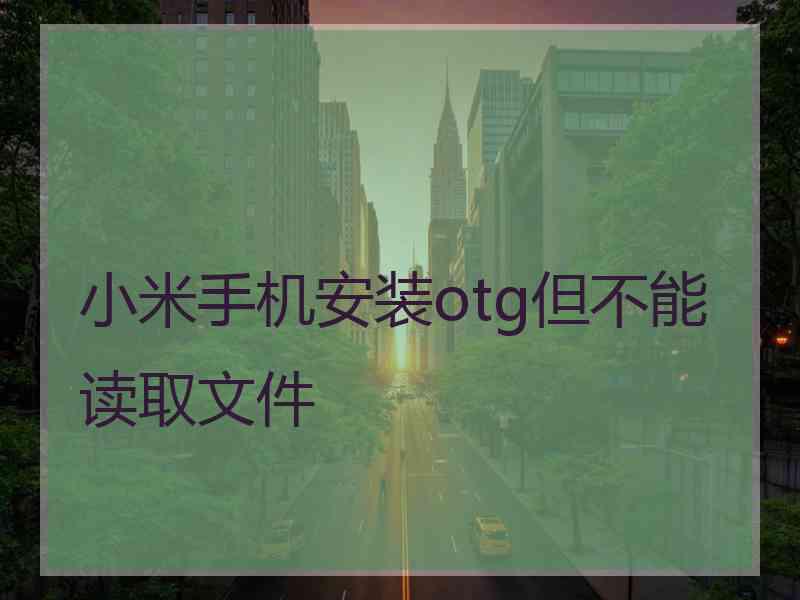 小米手机安装otg但不能读取文件