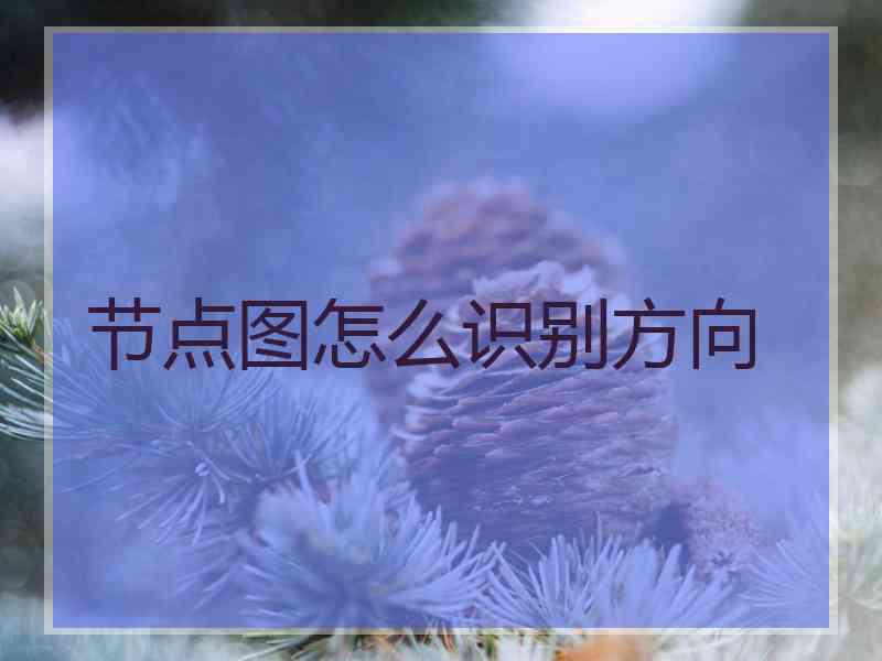 节点图怎么识别方向