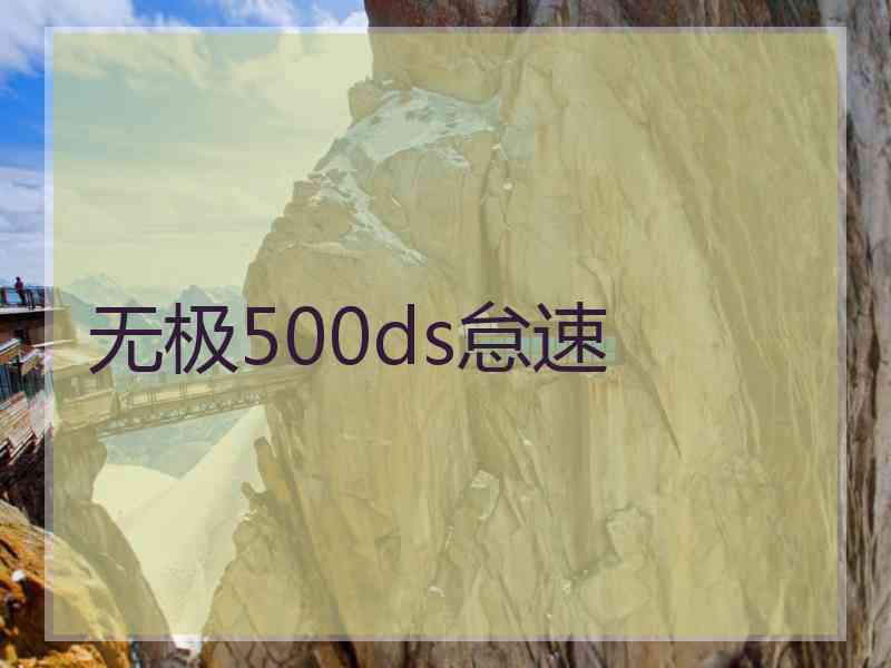 无极500ds怠速