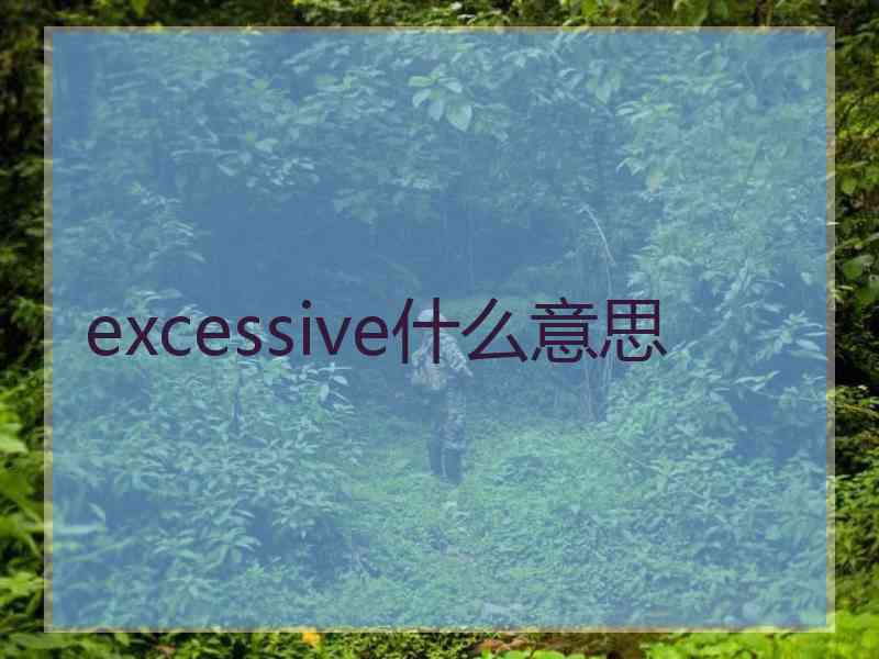 excessive什么意思