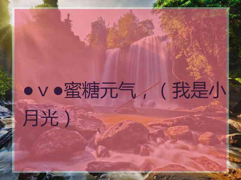 ●ｖ●蜜糖元气，（我是小月光）