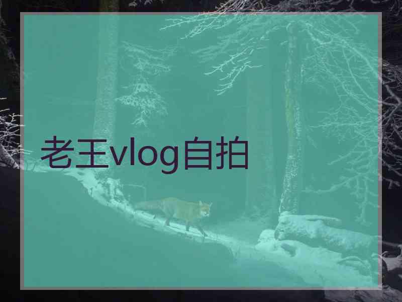 老王vlog自拍