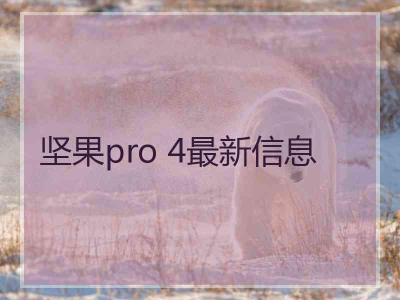 坚果pro 4最新信息