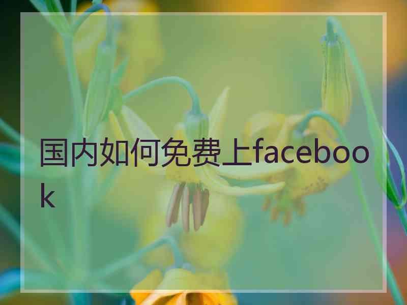 国内如何免费上facebook