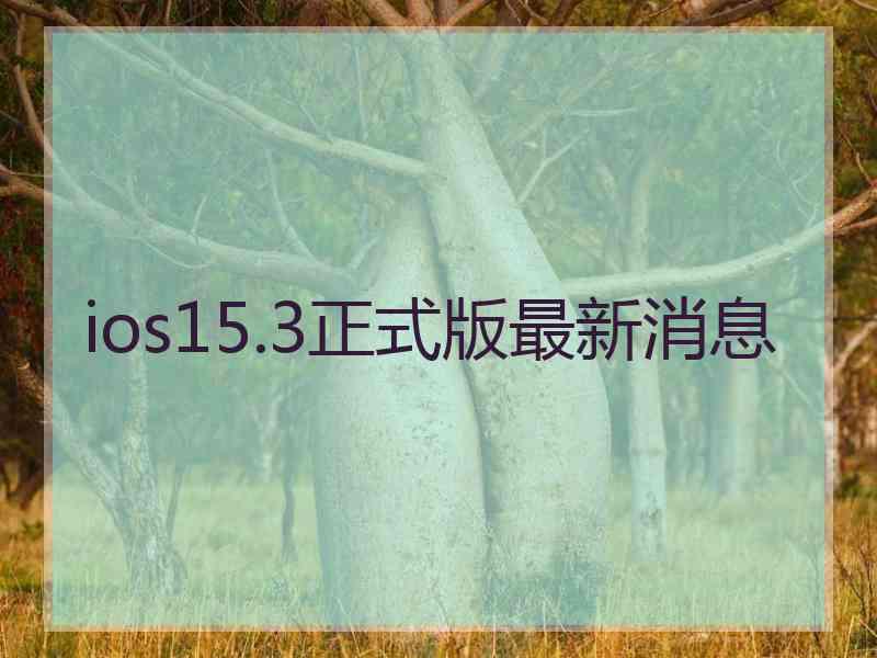 ios15.3正式版最新消息