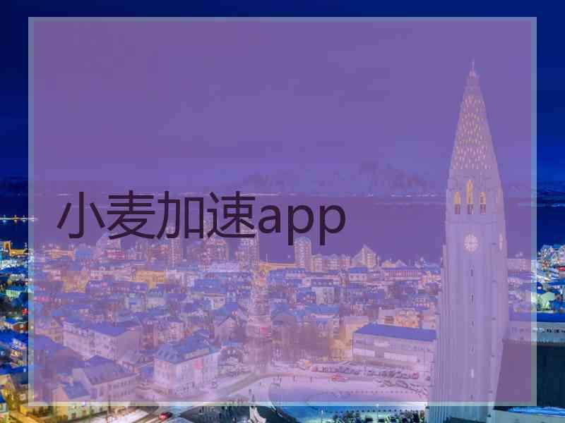 小麦加速app