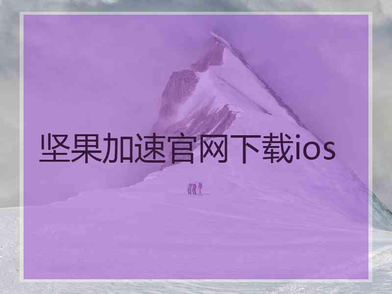 坚果加速官网下载ios