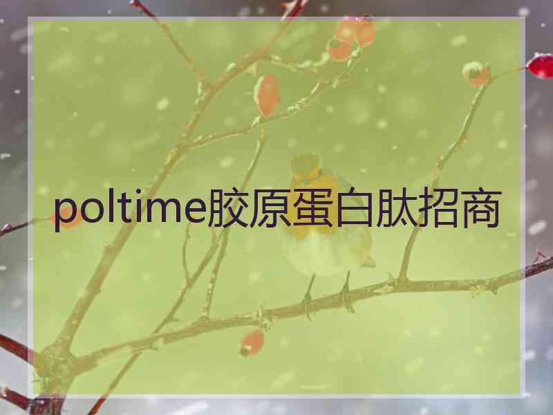 poltime胶原蛋白肽招商