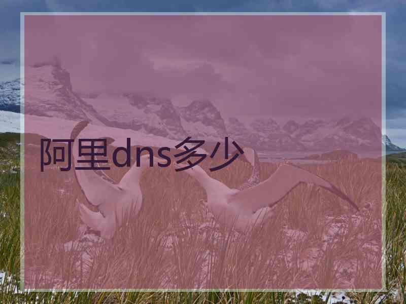 阿里dns多少