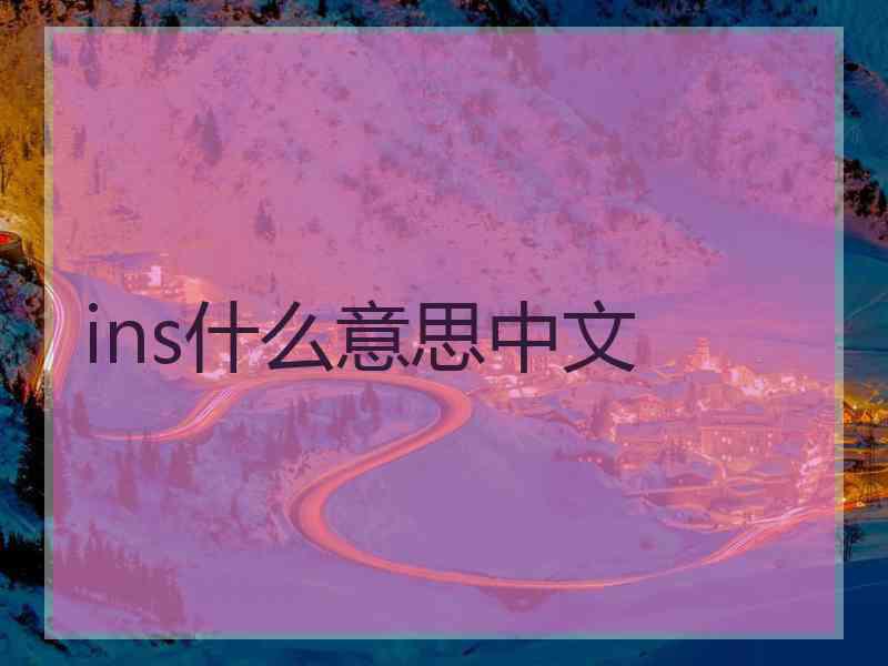 ins什么意思中文