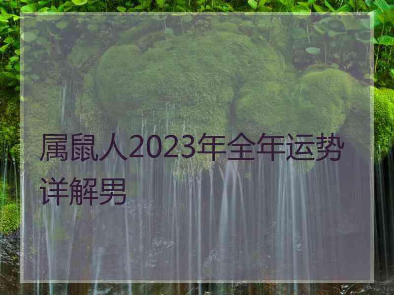 属鼠人2023年全年运势详解男