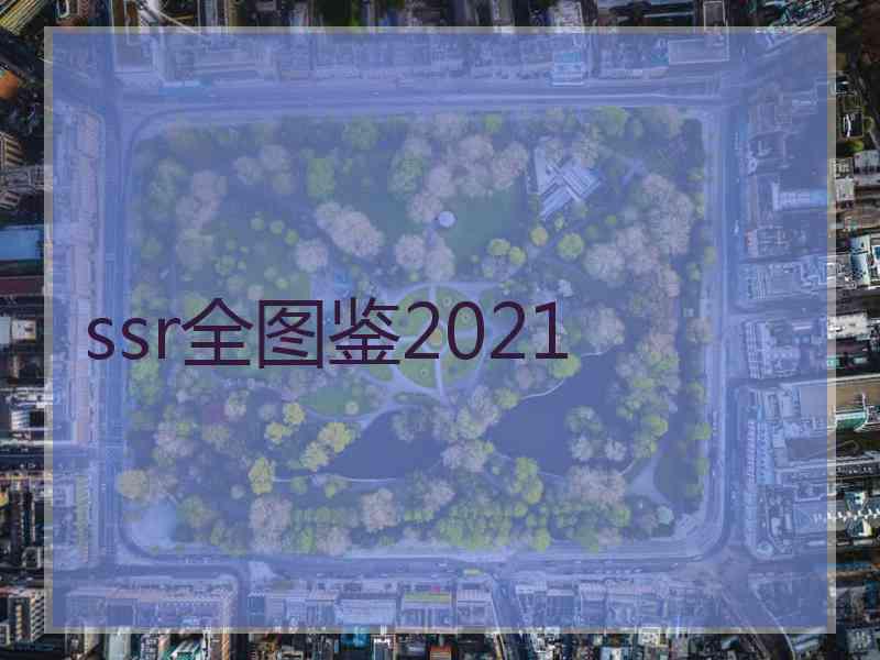 ssr全图鉴2021