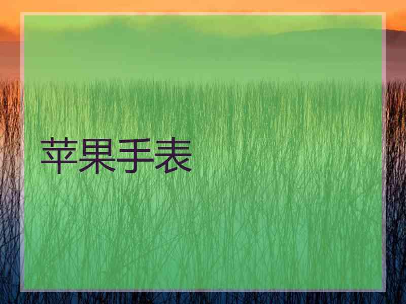 苹果手表