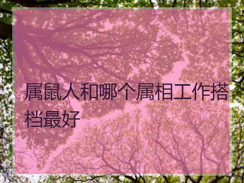 属鼠人和哪个属相工作搭档最好