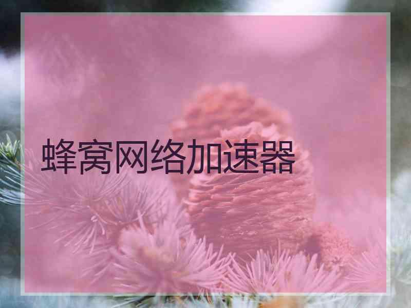 蜂窝网络加速器