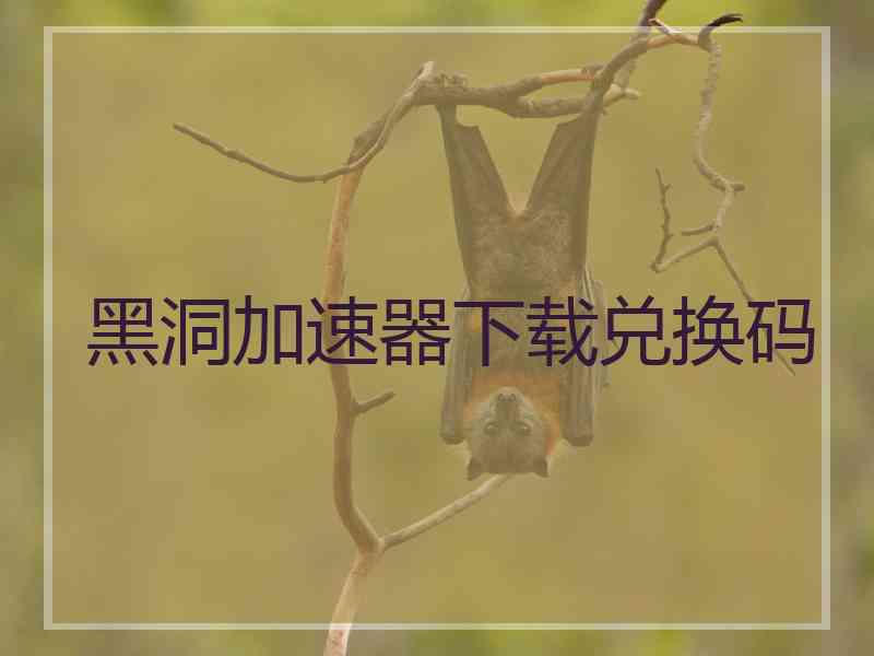 黑洞加速器下载兑换码