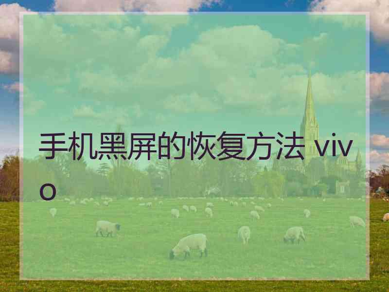 手机黑屏的恢复方法 vivo