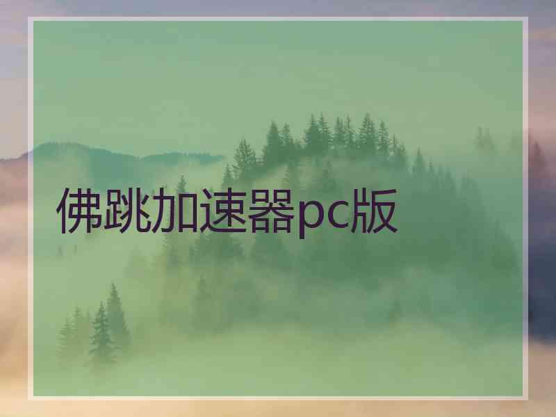 佛跳加速器pc版