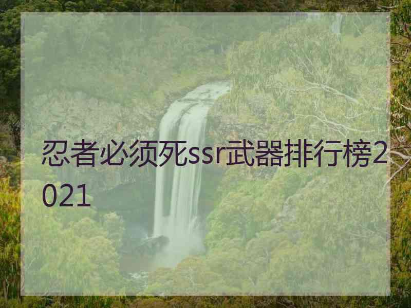 忍者必须死ssr武器排行榜2021