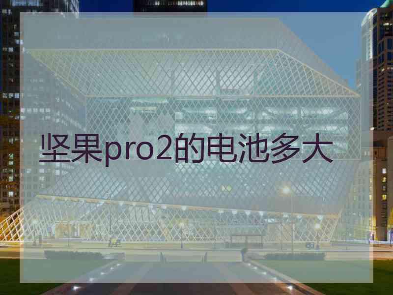 坚果pro2的电池多大