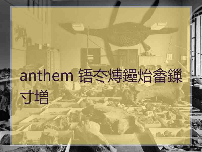 anthem 铻冭煿鑸炲畬鏁寸増