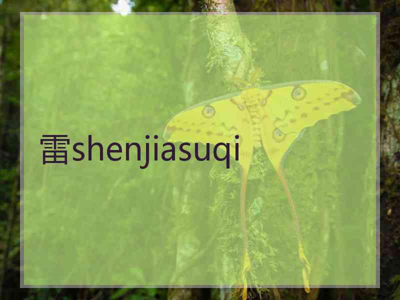 雷shenjiasuqi