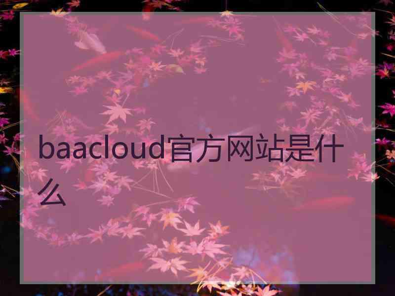 baacloud官方网站是什么