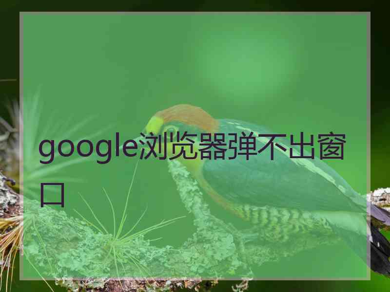 google浏览器弹不出窗口