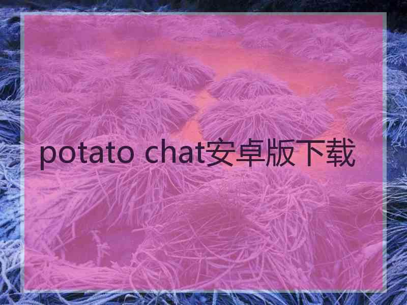 potato chat安卓版下载