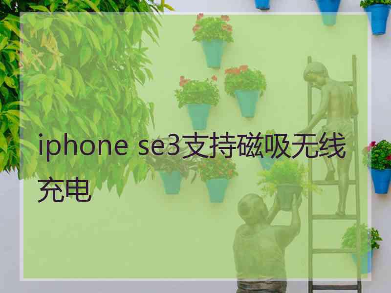 iphone se3支持磁吸无线充电