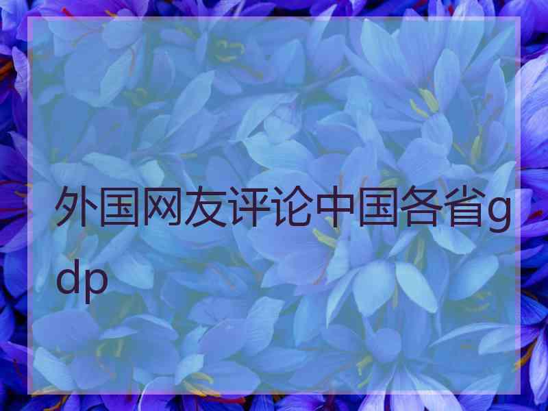 外国网友评论中国各省gdp