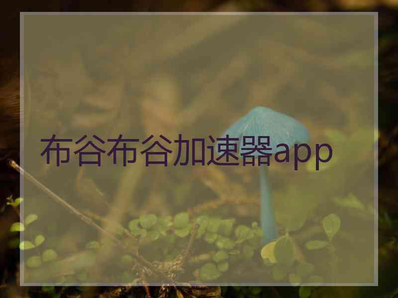 布谷布谷加速器app