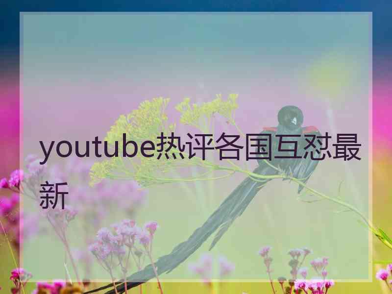 youtube热评各国互怼最新