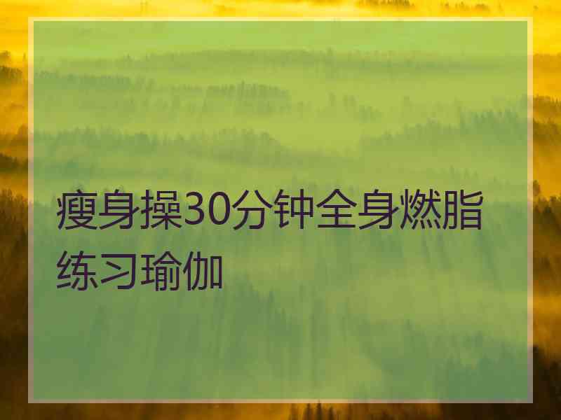 瘦身操30分钟全身燃脂练习瑜伽