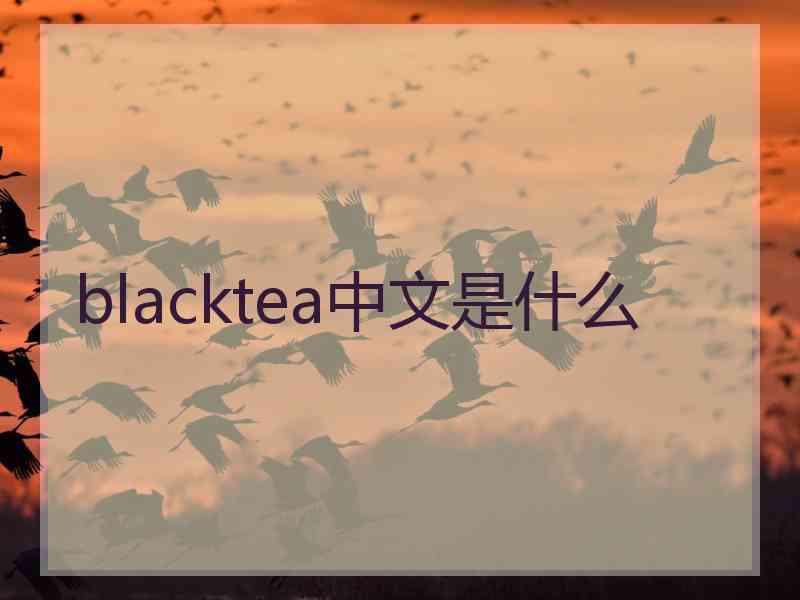 blacktea中文是什么