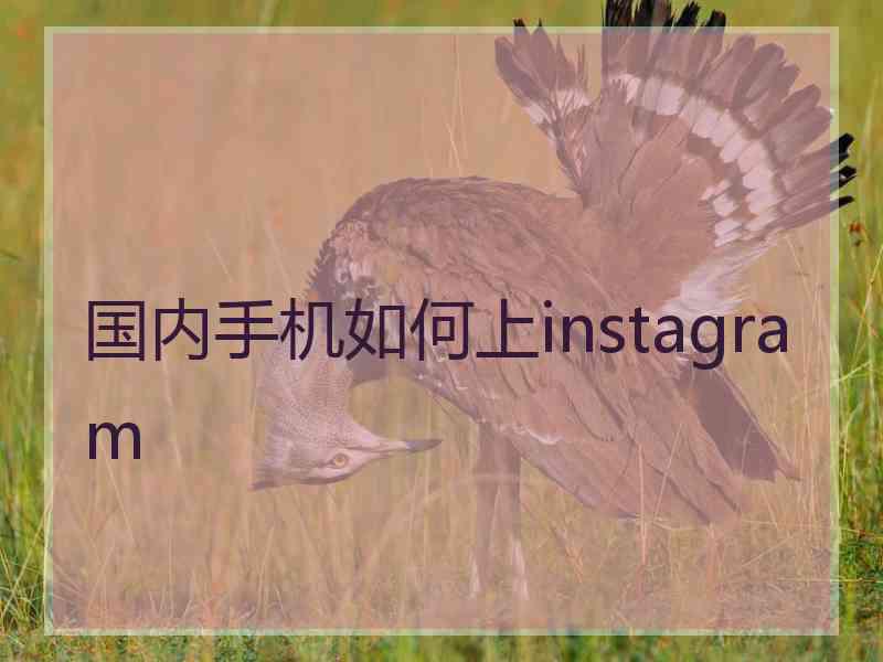 国内手机如何上instagram