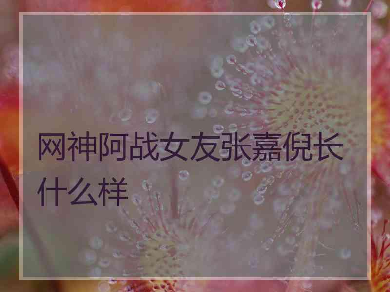 网神阿战女友张嘉倪长什么样