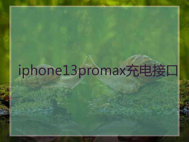 iphone13promax充电接口