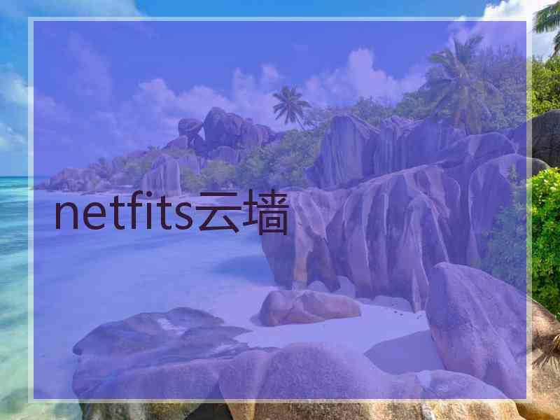 netfits云墙