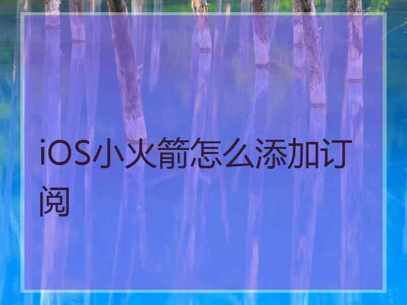 iOS小火箭怎么添加订阅