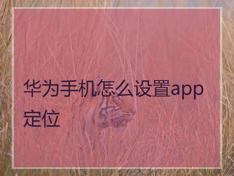 华为手机怎么设置app定位