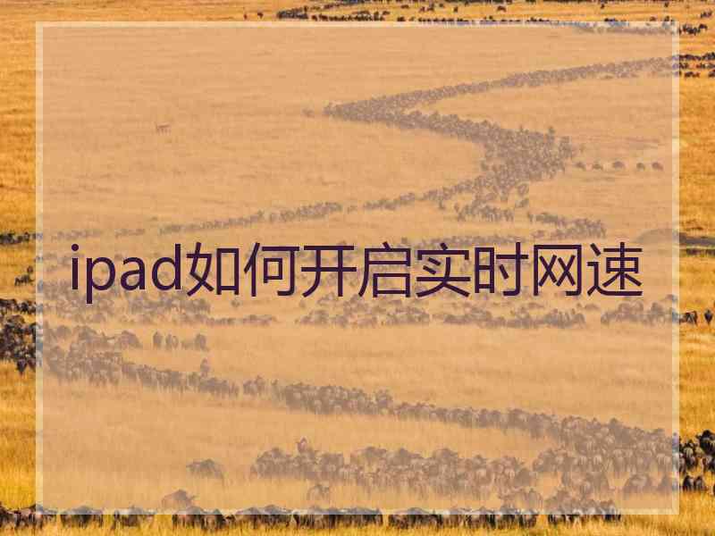 ipad如何开启实时网速